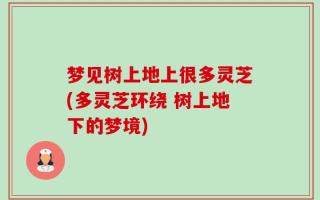 梦见树上地上很多灵芝(多灵芝环绕 树上地下的梦境)
