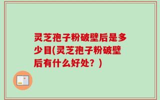 灵芝孢子粉破壁后是多少目(灵芝孢子粉破壁后有什么好处？)