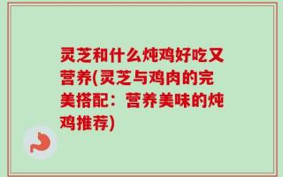 灵芝和什么炖鸡好吃又营养(灵芝与鸡肉的完美搭配：营养美味的炖鸡推荐)