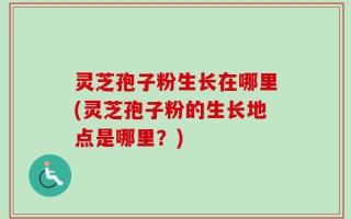 灵芝孢子粉生长在哪里(灵芝孢子粉的生长地点是哪里？)