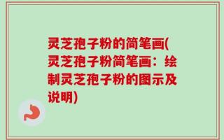 灵芝孢子粉的简笔画(灵芝孢子粉简笔画：绘制灵芝孢子粉的图示及说明)