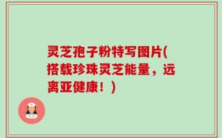 灵芝孢子粉特写图片(搭载珍珠灵芝能量，远离亚健康！)