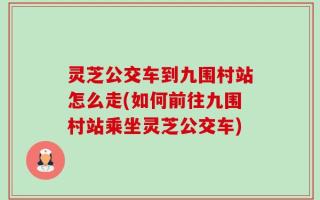 灵芝公交车到九围村站怎么走(如何前往九围村站乘坐灵芝公交车)