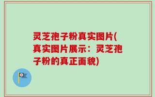 灵芝孢子粉真实图片(真实图片展示：灵芝孢子粉的真正面貌)
