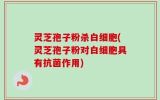 灵芝孢子粉杀白细胞(灵芝孢子粉对白细胞具有抗菌作用)