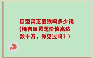 巨型灵芝值钱吗多少钱(稀有巨灵芝价值高达数十万，你见过吗？)