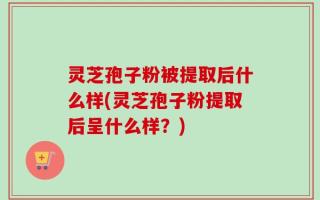 灵芝孢子粉被提取后什么样(灵芝孢子粉提取后呈什么样？)