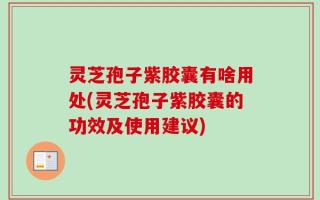 灵芝孢子紫胶囊有啥用处(灵芝孢子紫胶囊的功效及使用建议)