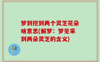 梦到挖到两个灵芝花朵啥意思(解梦：梦见采到两朵灵芝的含义)
