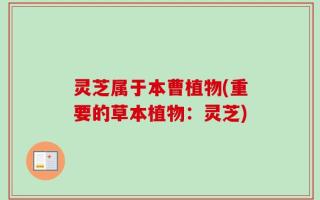 灵芝属于本曹植物(重要的草本植物：灵芝)