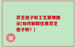 灵芝孢子粉工艺原理图示(如何制取优质灵芝孢子粉？)