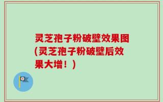 灵芝孢子粉破壁效果图(灵芝孢子粉破壁后效果大增！)