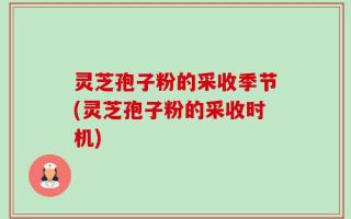 灵芝孢子粉的采收季节(灵芝孢子粉的采收时机)