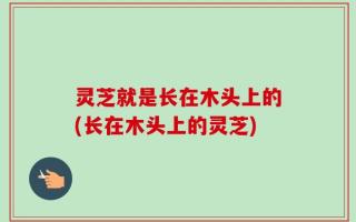灵芝就是长在木头上的(长在木头上的灵芝)