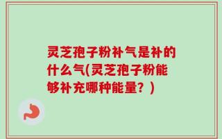 灵芝孢子粉补气是补的什么气(灵芝孢子粉能够补充哪种能量？)