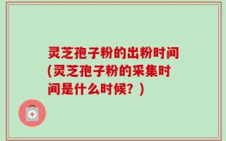 灵芝孢子粉的出粉时间(灵芝孢子粉的采集时间是什么时候？)