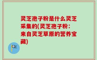 灵芝孢子粉是什么灵芝采集的(灵芝孢子粉：来自灵芝草原的营养宝藏)