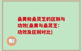 桑黄和桑灵芝的区别与功效(桑黄与桑灵芝：功效及区别对比)