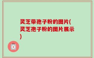 灵芝带孢子粉的图片(灵芝孢子粉的图片展示)