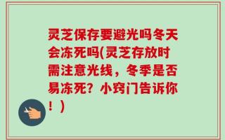 灵芝保存要避光吗冬天会冻死吗(灵芝存放时需注意光线，冬季是否易冻死？小窍门告诉你！)