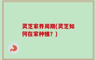 灵芝家养周期(灵芝如何在家种植？)