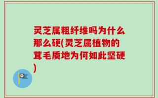 灵芝属粗纤维吗为什么那么硬(灵芝属植物的茸毛质地为何如此坚硬)