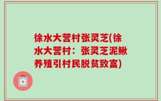 徐水大营村张灵芝(徐水大营村：张灵芝泥鳅养殖引村民脱贫致富)