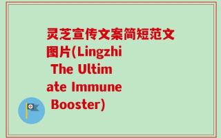 灵芝宣传文案简短范文图片(Lingzhi The Ultimate Immune Booster)