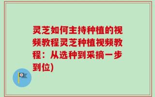 灵芝如何主持种植的视频教程灵芝种植视频教程：从选种到采摘一步到位)