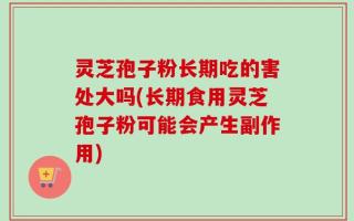 灵芝孢子粉长期吃的害处大吗(长期食用灵芝孢子粉可能会产生副作用)
