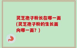 灵芝孢子粉长在哪一面(灵芝孢子粉的生长面向哪一面？)