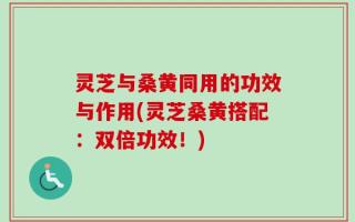 灵芝与桑黄同用的功效与作用(灵芝桑黄搭配：双倍功效！)