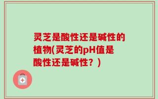 灵芝是酸性还是碱性的植物(灵芝的pH值是酸性还是碱性？)