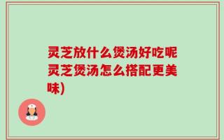 灵芝放什么煲汤好吃呢灵芝煲汤怎么搭配更美味)