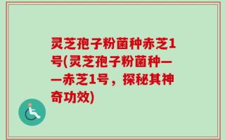 灵芝孢子粉菌种赤芝1号(灵芝孢子粉菌种——赤芝1号，探秘其神奇功效)