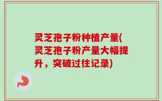 灵芝孢子粉种植产量(灵芝孢子粉产量大幅提升，突破过往记录)