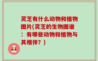 灵芝有什么动物和植物图片(灵芝的生物图谱：有哪些动物和植物与其相伴？)