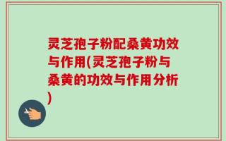 灵芝孢子粉配桑黄功效与作用(灵芝孢子粉与桑黄的功效与作用分析)