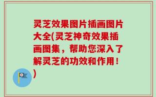 灵芝效果图片插画图片大全(灵芝神奇效果插画图集，帮助您深入了解灵芝的功效和作用！)