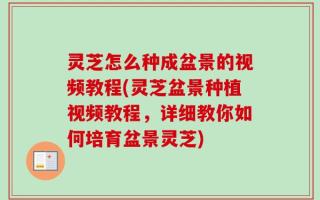 灵芝怎么种成盆景的视频教程(灵芝盆景种植视频教程，详细教你如何培育盆景灵芝)