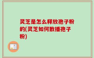 灵芝是怎么释放孢子粉的(灵芝如何散播孢子粉)