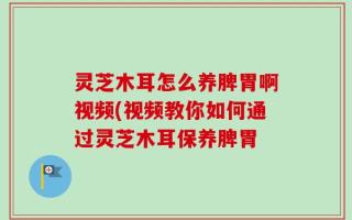 灵芝木耳怎么养脾胃啊视频(视频教你如何通过灵芝木耳保养脾胃