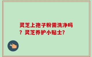 灵芝上孢子粉需洗净吗？灵芝养护小贴士？