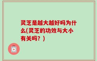 灵芝是越大越好吗为什么(灵芝的功效与大小有关吗？)
