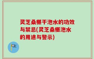灵芝桑椹干泡水的功效与禁忌(灵芝桑椹泡水的用途与警示)