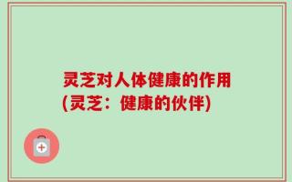 灵芝对人体健康的作用(灵芝：健康的伙伴)