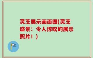 灵芝展示画面图(灵芝盛景：令人惊叹的展示照片！)