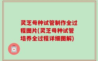 灵芝母种试管制作全过程图片(灵芝母种试管培养全过程详细图解)