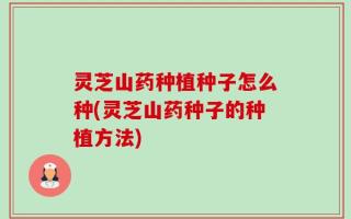 灵芝山药种植种子怎么种(灵芝山药种子的种植方法)