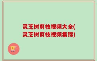 灵芝树剪枝视频大全(灵芝树剪枝视频集锦)